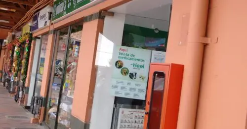 ANIMALS PET SHOP VICTORIA NORTE ANIMALS PET SHOP VICTORIA NORTE